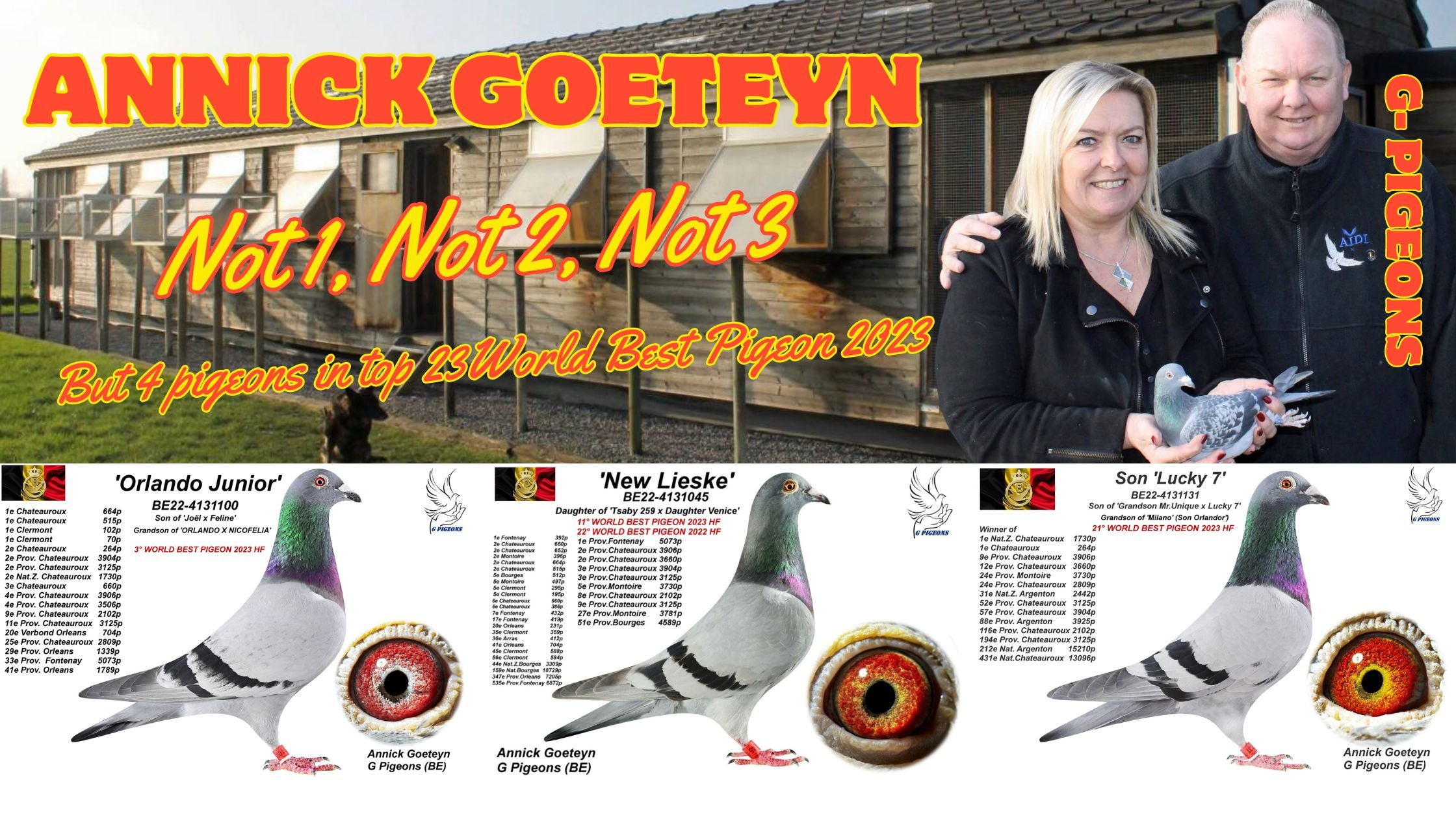 Annick Goeteyn: The Superstar with Vandenabeele Pigeons as the Foundation!
