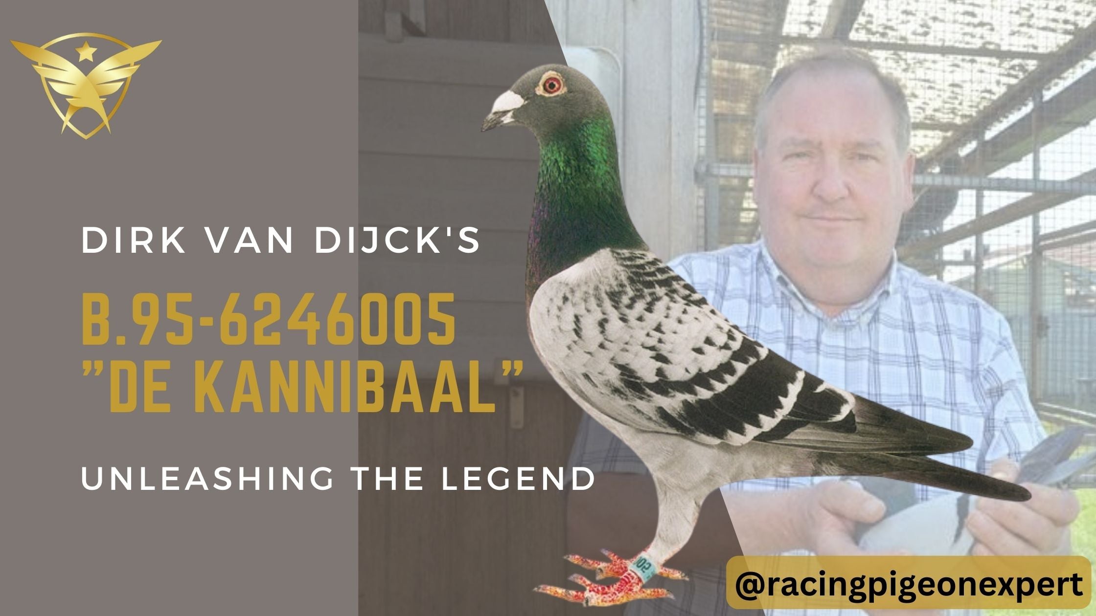 "De Kannibaal" - Unleashing Dirk van Dick's legend...