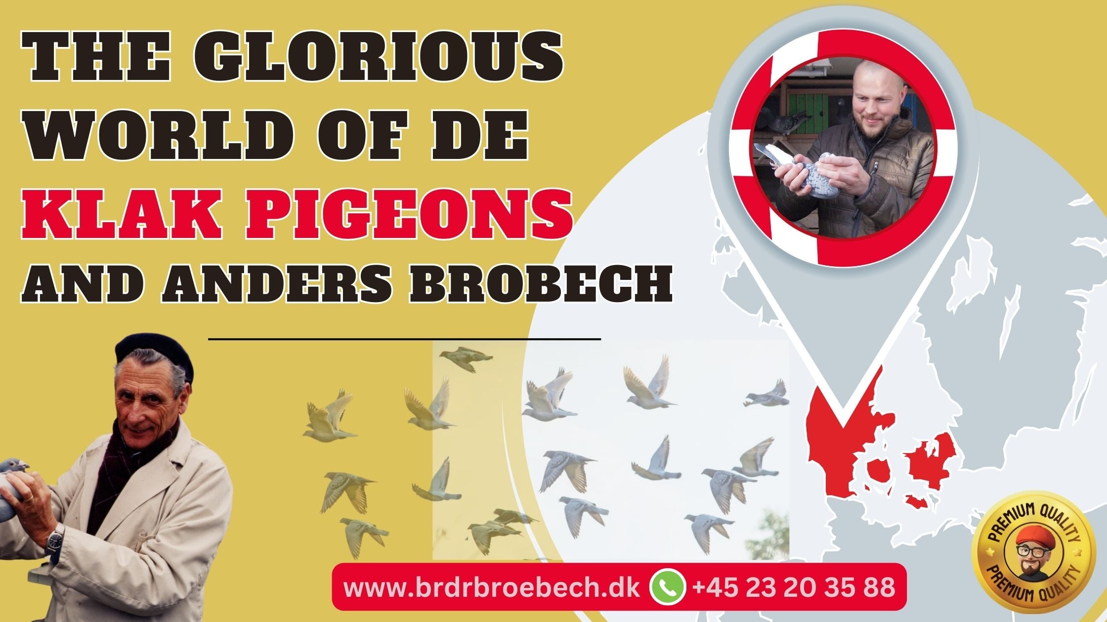 The Glorious World of De Klak Pigeons and Anders Brobech