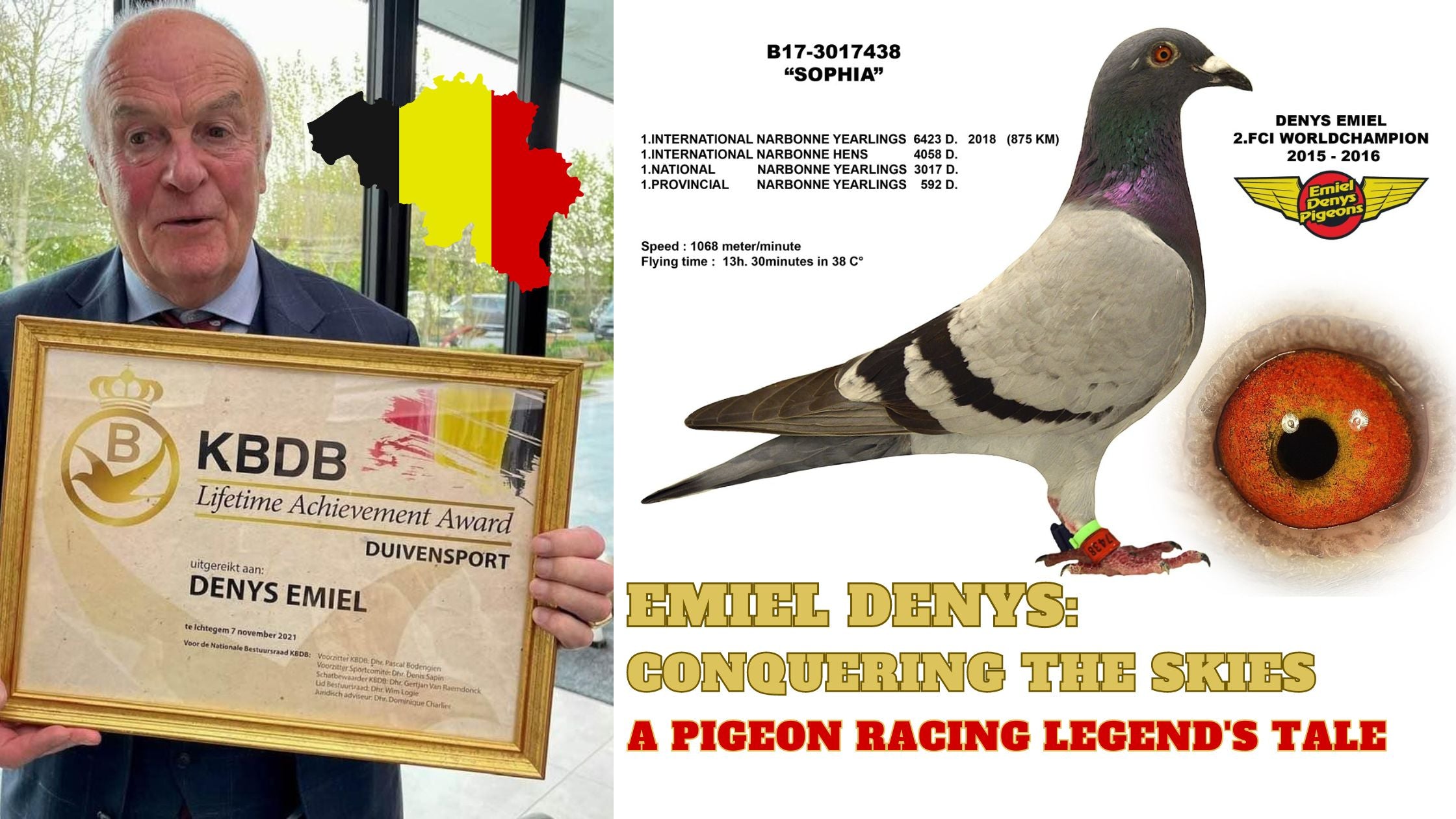 Emiel Denys: Conquering the Skies - A Pigeon Racing Legend's Tale