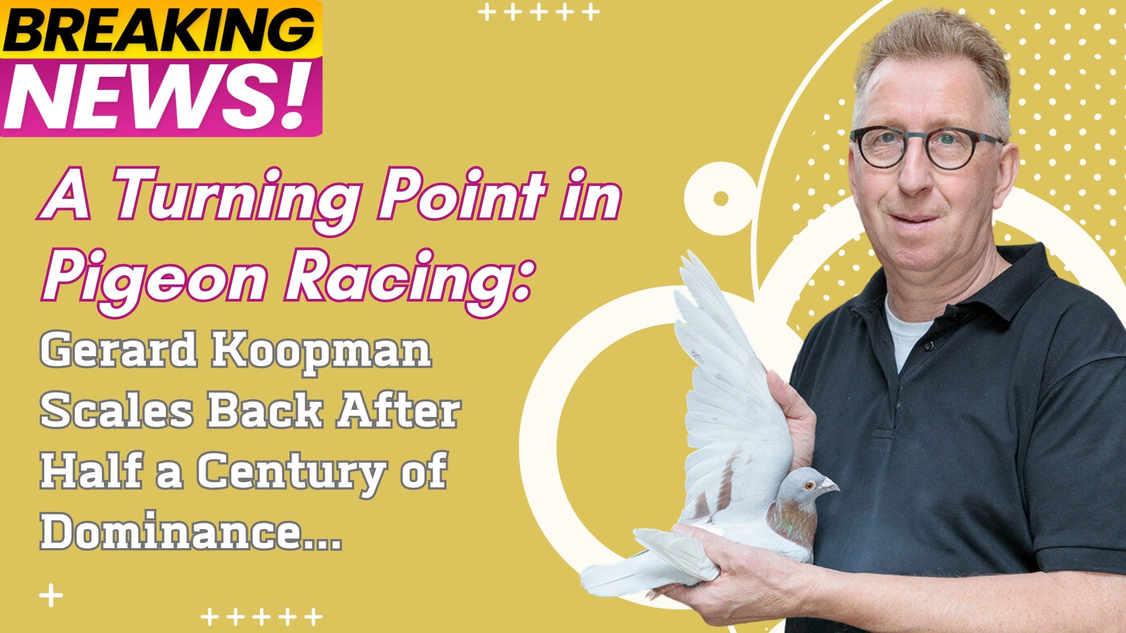 A Turning Point in Pigeon Racing: Gerard Koopman Scales Back After Half a Century of Dominance