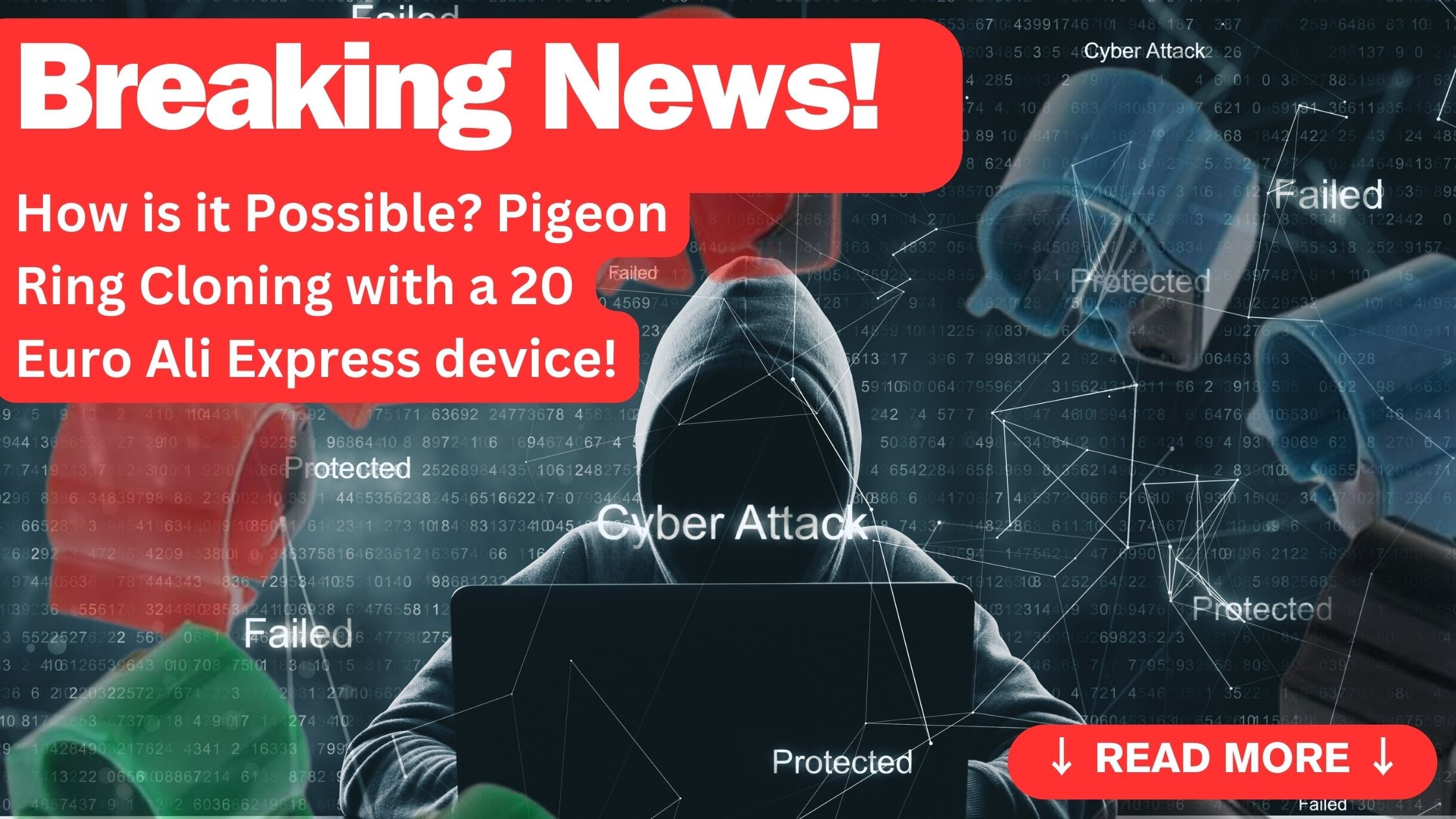 How is it Possible? Pigeon Ring Cloning with a 20 Euro Ali Express device
