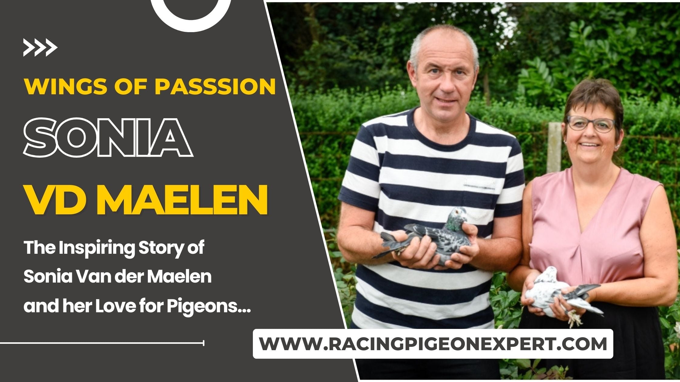 Wings of Passion: The Inspiring Story of Sonia Van der Maelen and Her Love for Homing Pigeons