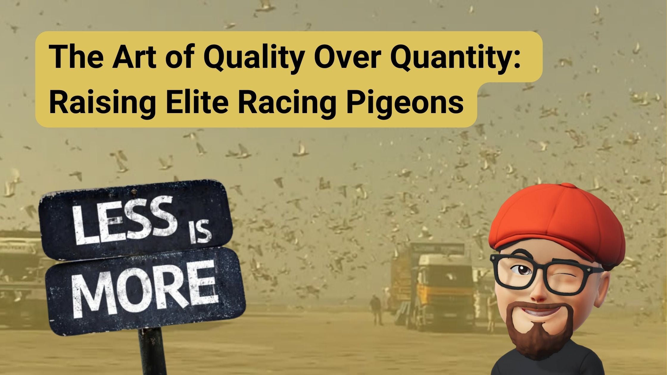 The Art of Quality Over Quantity: Raising Elite Racing Pigeons