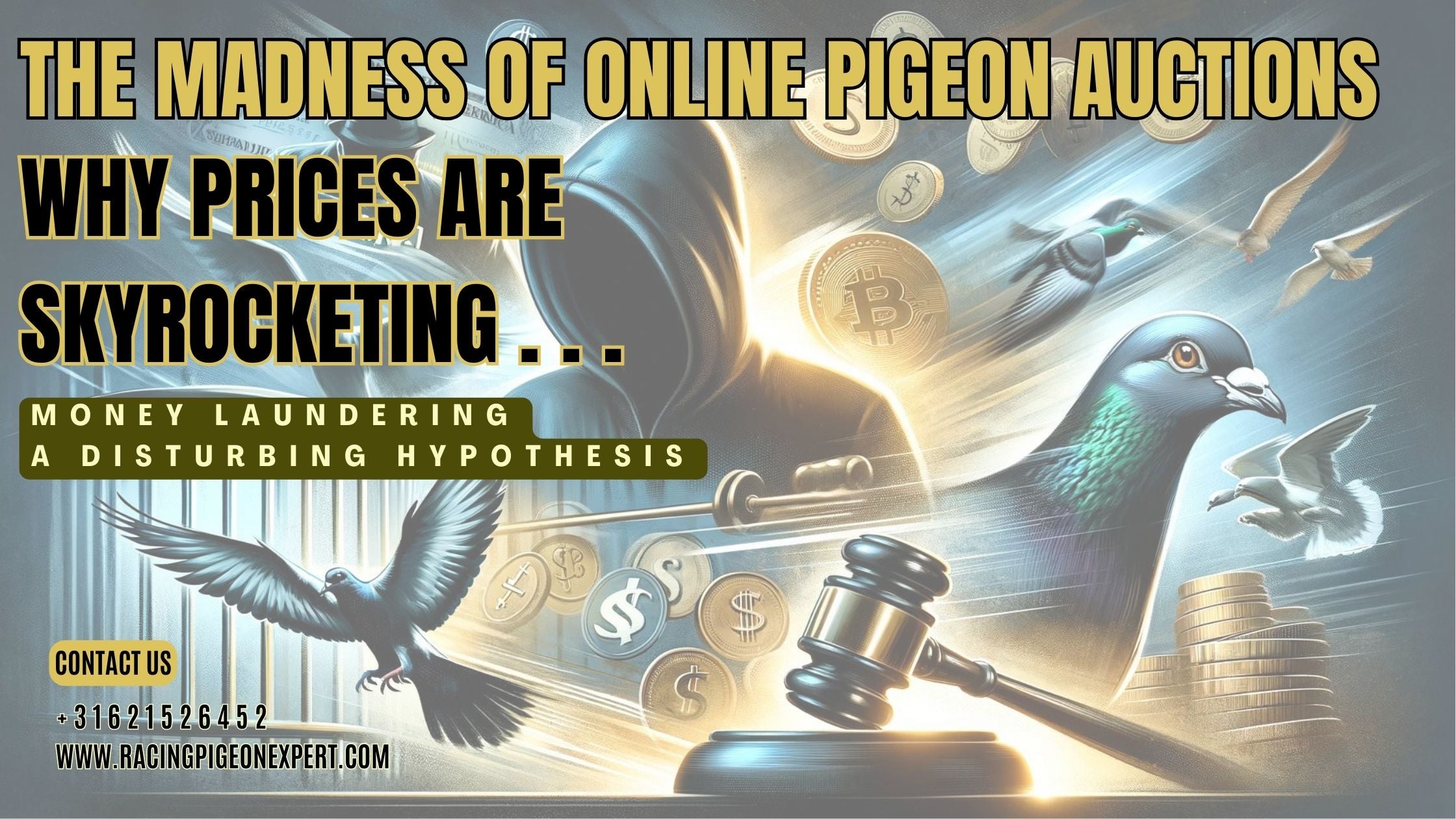 The Madness of Online Pigeon Auctions: Why Prices Are Skyrocketing