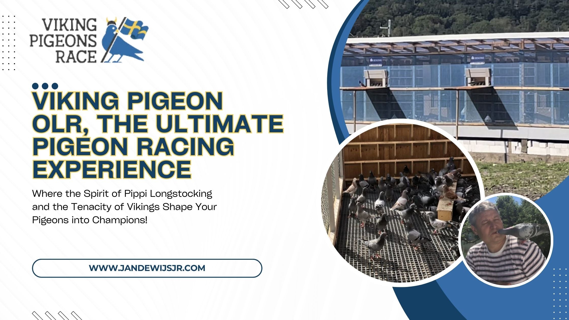 Viking Pigeon OLR, The Ultimate Pigeon Racing Experience