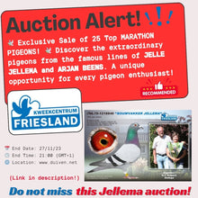 Auction alert   kweekcentrum friesland 31239037 dc7a 4b37 af8f ee341d0eee8b